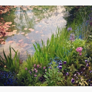 Monet’s Waterlily Pond