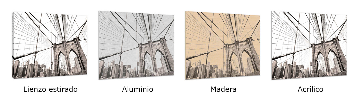Visualización 3D